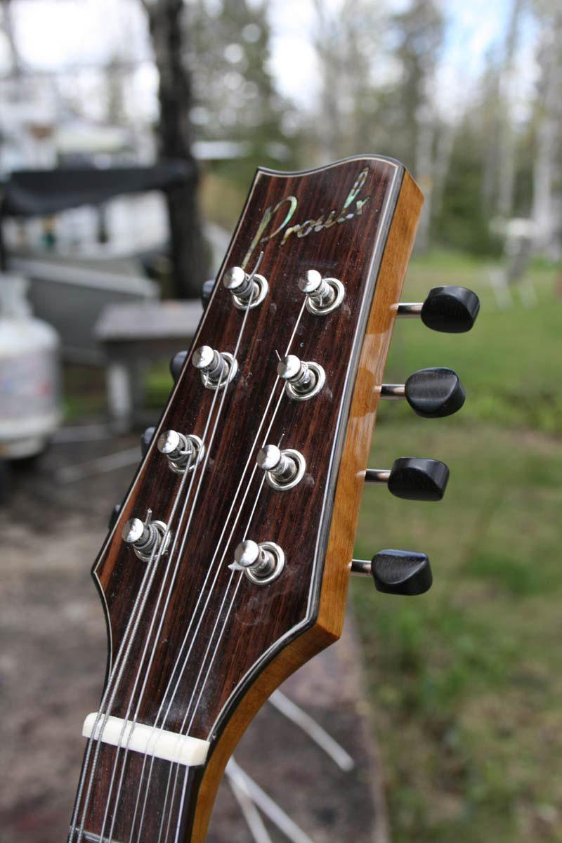 to Proulx Guitars & Mandolins!